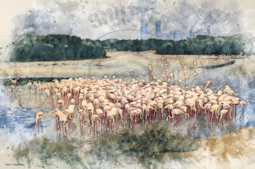 Flamingos in Dubai