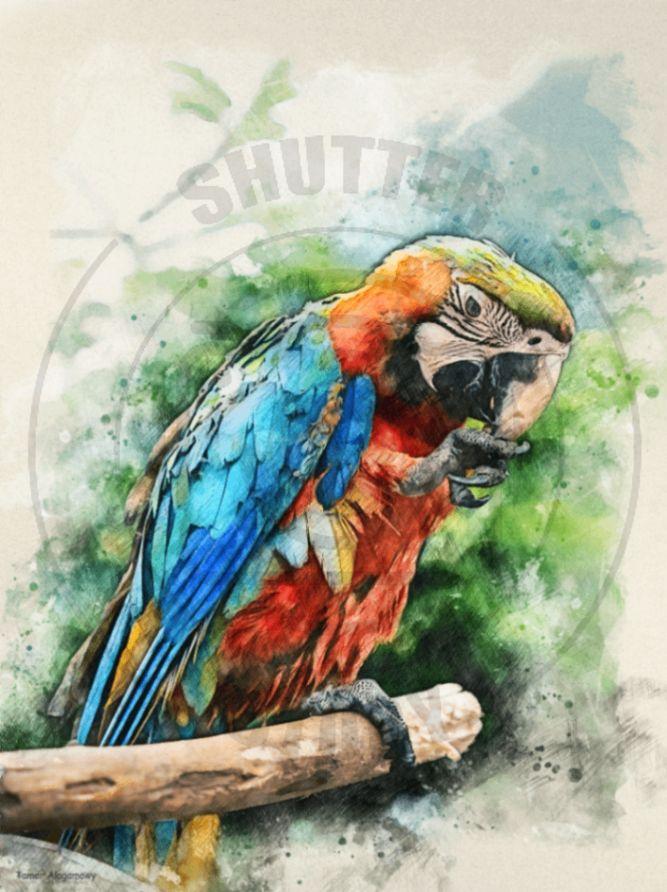 A vibrant parrot