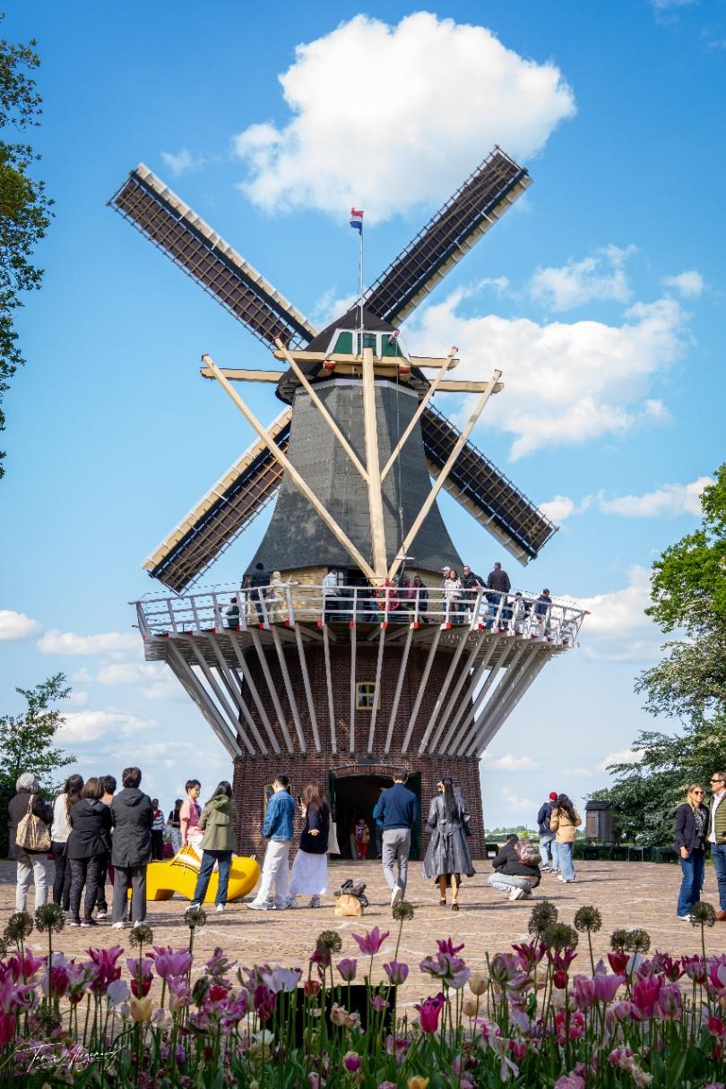 Keukenhof