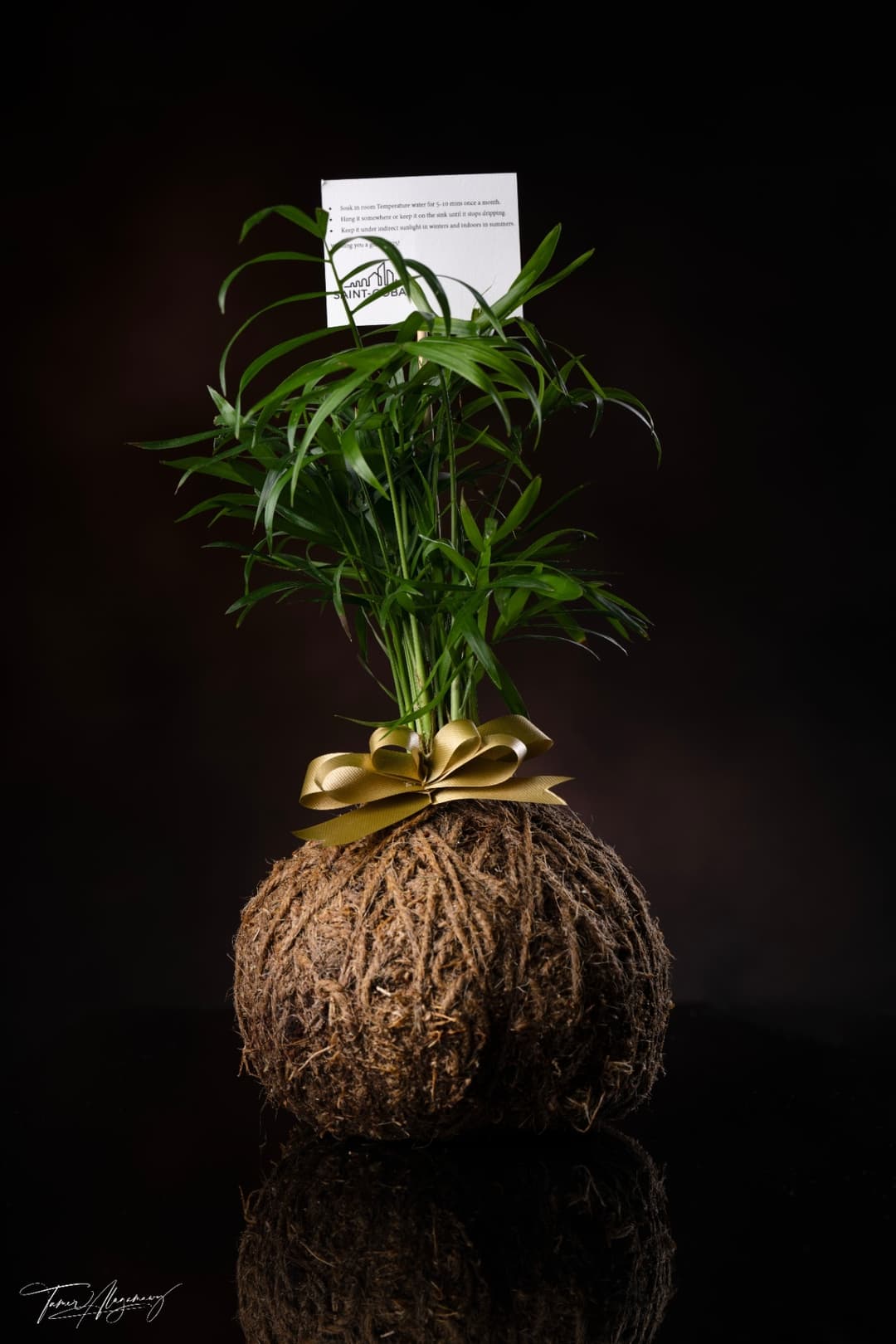 https://utfs.io/f/yLo3YNArQLnMfj7Z5LTk0yBHE5eF9t4ZmoCkQiw8fgpVcOaS